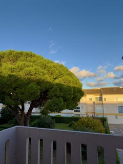 /international/fr/argeles-sur-mer-languedoc-roussillon-310104397918/