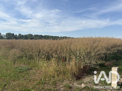 /international/fr/vouzy-ardennes-310109017626/