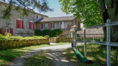 /international/fr/tournon-d-agenais-aquitaine-310108790427/