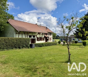 /international/fr/traubach-le-bas-alsace-310108950429/