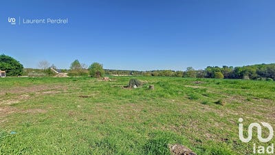 /international/fr/allaire-brittany-310101483597/