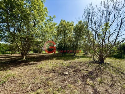 /international/fr/selestat-alsace-310105343077/
