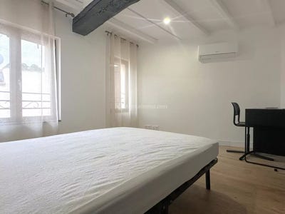 /international/fr/albi-midi-pyrenees-310104045326/