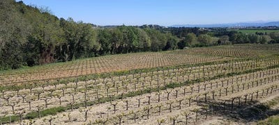 /international/fr/pont-st-esprit-hh-15620945-pont-st-esprit-languedoc-roussillon-310100953964/?lang=zh-tw