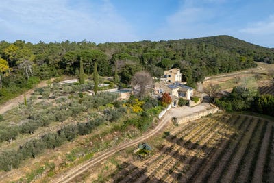 /international/fr/saint-michel-d-euzet-languedoc-roussillon-310101445704/