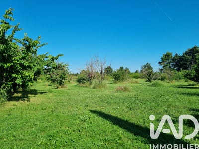 /international/fr/l-isle-sur-la-sorgue-provence-alpes-cote-d-azur-310108484603/