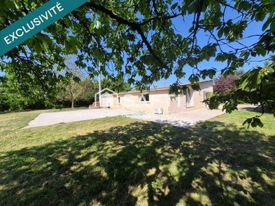 /international/fr/negrepelisse-midi-pyrenees-310107564260/