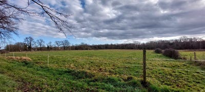 /international/fr/abzac-charente-310107920579/