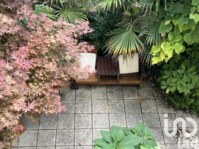 /international/fr/saint-georges-de-didonne-charente-310100600826/