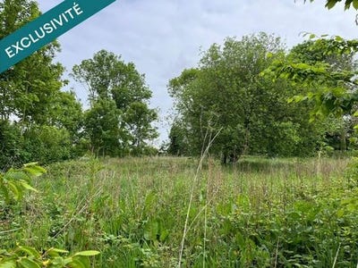 /international/fr/fressenneville-picardie-310107863317/