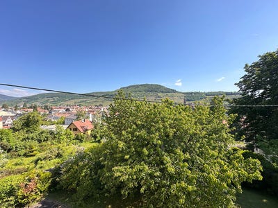 /international/fr/guebwiller-alsace-310100003583/