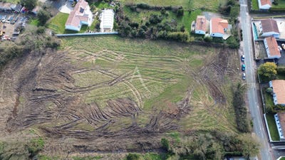 /international/fr/le-fenouiller-pays-de-la-loire-310104474115/