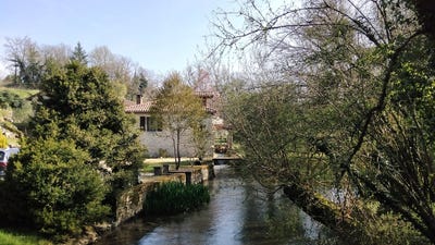 /international/fr/saint-claud-charente-310106798986/