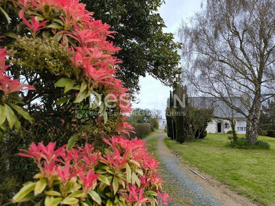 /international/fr/treveneuc-brittany-310108317575/