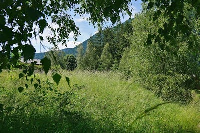 /international/fr/les-houches-rhone-310100437537/
