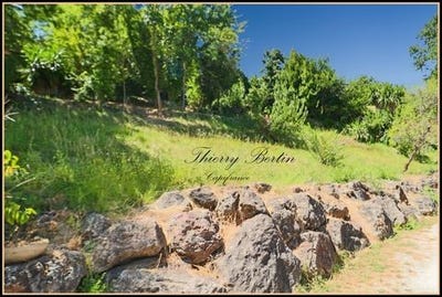 /international/fr/st-paul-provence-alpes-cote-d-azur-310101387612/