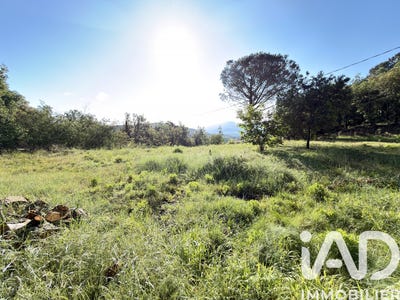 /international/fr/oms-languedoc-roussillon-310108000788/