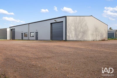 /international/fr/chauve-pays-de-la-loire-310105369931/
