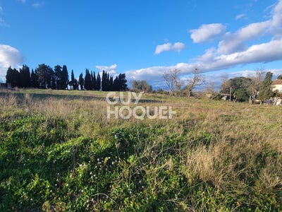 /international/fr/castelnau-d-aude-languedoc-roussillon-310106798743/