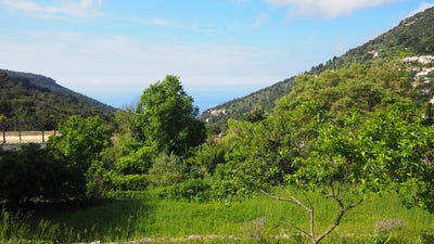 /international/fr/la-turbie-hh-15749682-la-turbie-provence-alpes-cote-d-azur-310100957253/