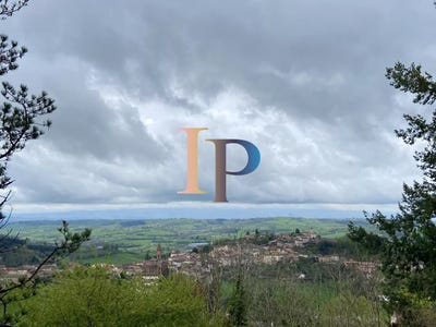 /international/fr/thizy-les-bourgs-rhone-310101085324/?lang=en