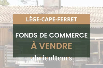 /international/fr/6-avenue-du-general-de-gaulle-lege-cap-ferret-aquitaine-310100488722/