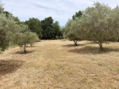 /international/fr/brue-auriac-provence-alpes-cote-d-azur-310108674236/