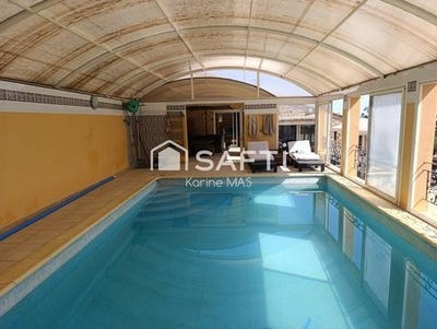 /international/fr/felines-termenes-languedoc-roussillon-310101381107/