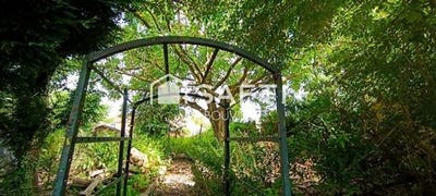/international/fr/noeux-les-mines-calais-310101382309/?lang=es