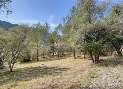 /international/fr/pierrefeu-provence-alpes-cote-d-azur-310108263001/