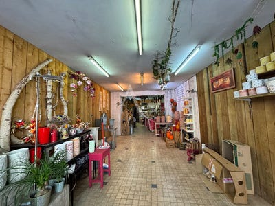 /international/fr/gaillac-midi-pyrenees-310109045571/
