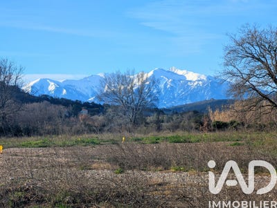 /international/fr/estagel-languedoc-roussillon-310107493662/