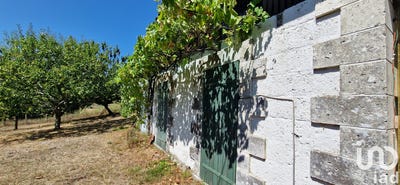 /international/fr/montagrier-aquitaine-310102964989/
