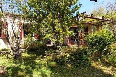 /international/fr/riez-provence-alpes-cote-d-azur-310107581541/