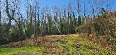/international/fr/villemareuil-ile-de-france-310106162844/