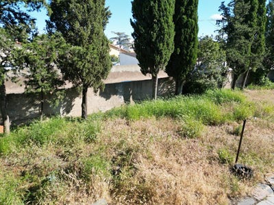 /international/fr/frontignan-languedoc-roussillon-310108104796/