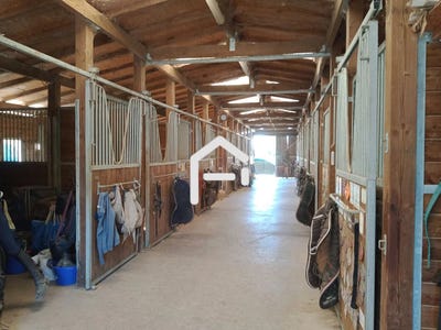 /international/fr/arnac-pompadour-limousin-310099623202/