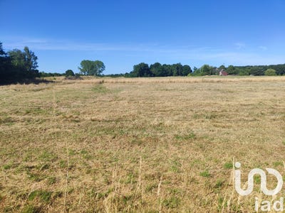 /international/fr/chanteau-centre-val-de-loire-310096988861/