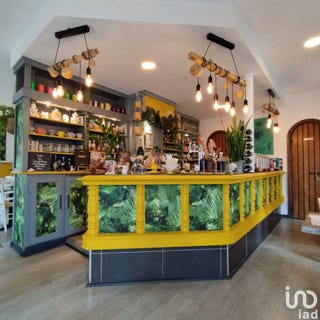 /international/fr/montrouge-ile-de-france-310101273390/