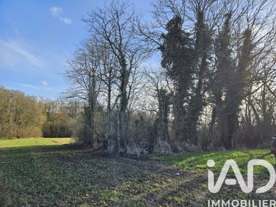 /international/fr/courcelles-sous-thoix-picardie-310108044118/