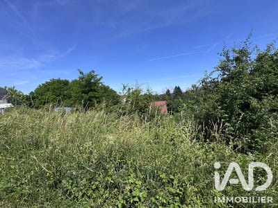 /international/fr/bouzonville-centre-val-de-loire-310109016383/
