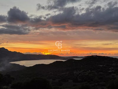 /international/fr/lumio-corsica-310108677016/