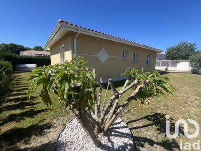 /international/fr/saint-paul-en-born-aquitaine-310099941538/