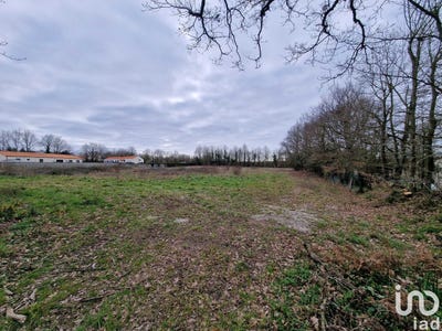 /international/fr/martinet-pays-de-la-loire-310097483562/