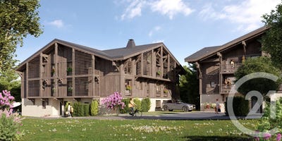 /international/fr/morillon-rhone-310101670240/