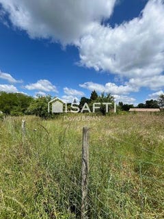 /international/fr/baigneaux-aquitaine-310106067438/
