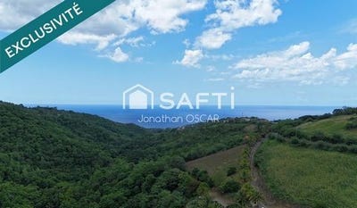 /international/fr/le-carbet-ile-de-france-310110314842/