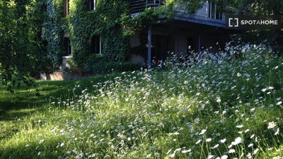 /international/fr/lyon-rhone-310107766972/