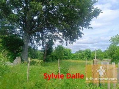 /international/fr/saint-laurent-de-muret-languedoc-roussillon-310109019532/