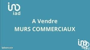 /international/fr/bretignolles-sur-mer-pays-de-la-loire-310095829119/